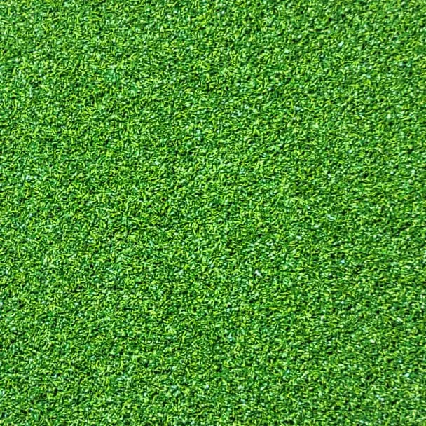 Putting Green turf